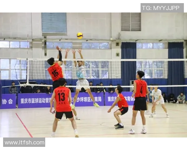 重庆排球队逆袭之路洲际杯特别报道展现拼搏精神与团队力量 重庆排球队逆袭之路洲际杯特别报道展现拼搏精神与团队力量