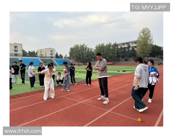 飞盘之路：杭州飞盘队拼搏精神与成长历程的真实记录