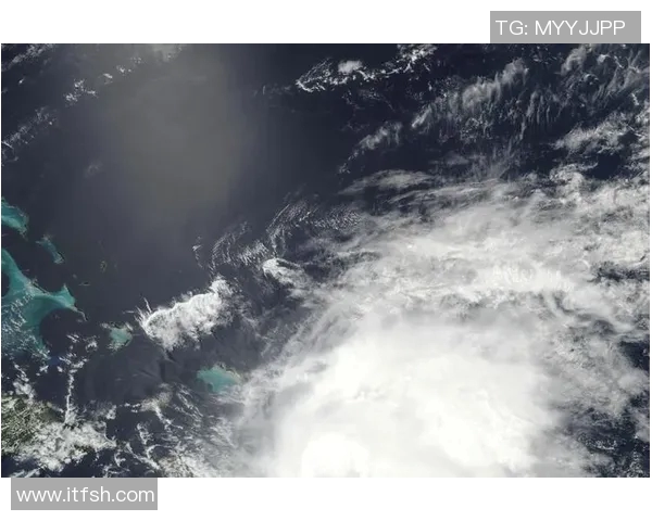 2017年飓风与亚自由的较量对比分析及其影响探讨 2017年飓风与亚自由的较量对比分析及其影响探讨