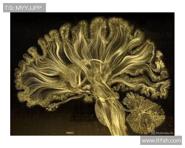 伊萨克的探索之旅：揭示科学与艺术交汇的奥秘与魅力